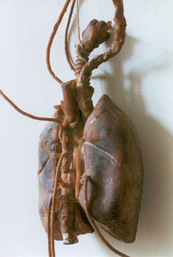 Polmoni